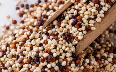 Quinoa: Tutto ciò che devi sapere sulle proprietà e i benefici