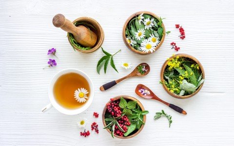 The Best Refreshing Herbal Teas for the Summer: Tastes and Properties