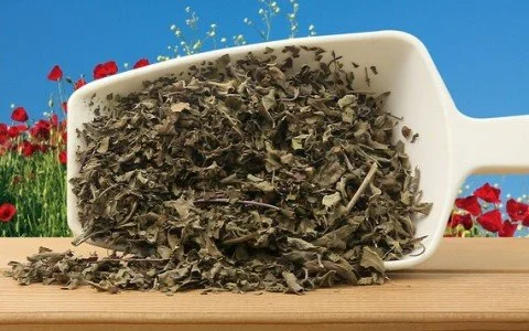 Scoprite i sorprendenti benefici per la salute della tisana al basilico santo Tulsi Scoprite i sorprendenti benefici per la salute della tisana al basilico santo Tulsi