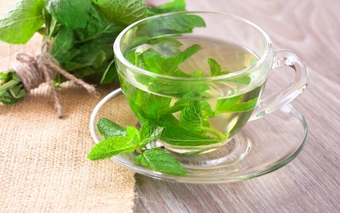 Mint herbal tea and its benefits