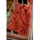 Tibet goji berries 1 kg Tibet goji berries 1 kg