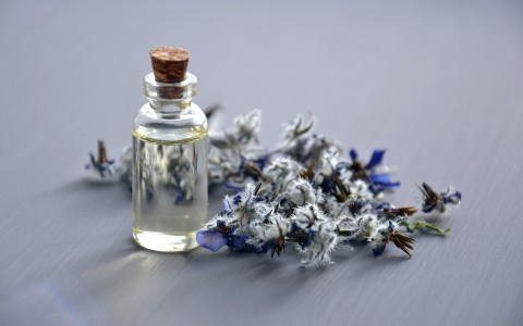 Erbe officinali che curano la dermatite Erbe officinali che curano la dermatite