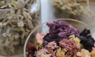 Erbe medicinali che curano le malattie invernali