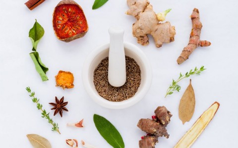 Low immune defenses: discover the benefits of medicinal herbs