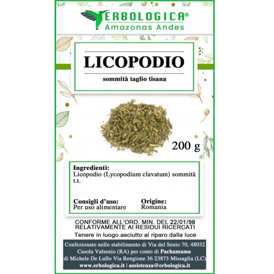 Tè al licopodio Tè al licopodio