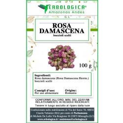Rosa damascena tisana Rosa damascena tisana