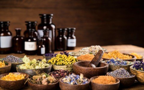 Medicinal herbs to treat coughs