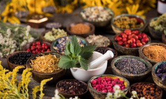 Erbe e tisane che curano la febbre