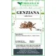 Genziana radice intera Genziana radice intera