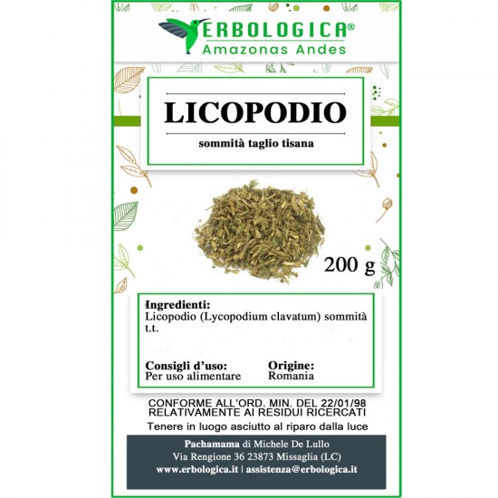 Lycopodium tea Lycopodium tea