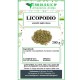 Lycopodium tea Lycopodium tea