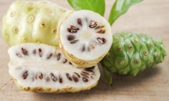 Noni proprietà la pianta esotica che combatte stanchezza e debolezza Noni proprietà la pianta esotica che combatte stanchezza e debolezza