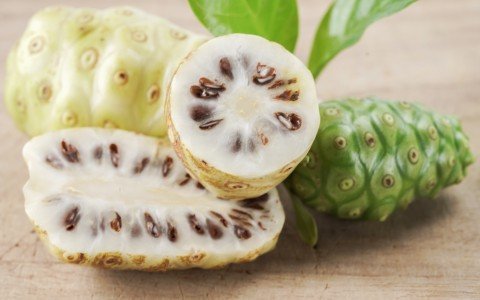 Noni proprietà la pianta esotica che combatte stanchezza e debolezza