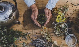 Produttori di erbe medicinali Produttori di erbe medicinali