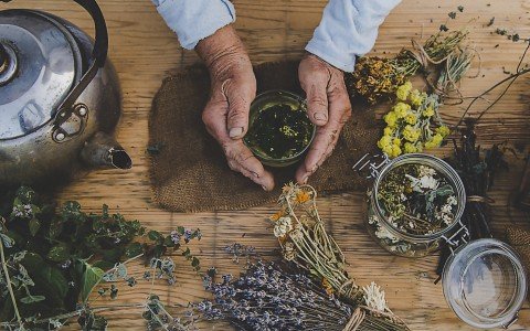 Produttori di erbe medicinali