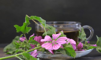 Tisana alla malva