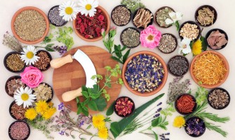 Erbe officinali che curano raffreddore