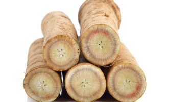 Radice di bardana: Il superalimento disintossicante per eccellenza che dovete conoscere Radice di bardana: Il superalimento disintossicante per eccellenza che dovete conoscere