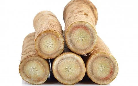 Radice di bardana: Il superalimento disintossicante per eccellenza che dovete conoscere