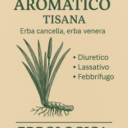 Calamo aromatico naturale rizoma taglio tisana  Calamo aromatico naturale rizoma taglio tisana