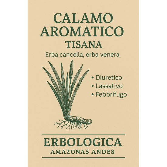 Calamo aromatico naturale rizoma taglio tisana Calamo aromatico naturale rizoma taglio tisana