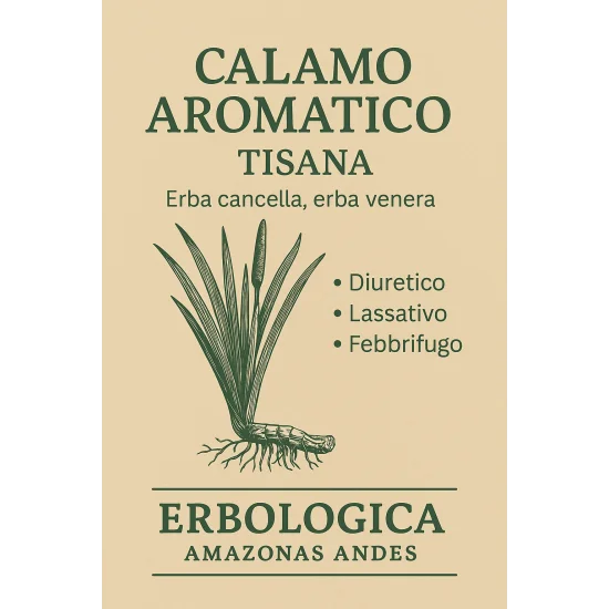 Calamo aromatico naturale rizoma taglio tisana 