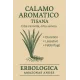Calamo aromatico naturale rizoma taglio tisana 