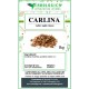 Carlina root herbal tea cut Carlina root herbal tea cut