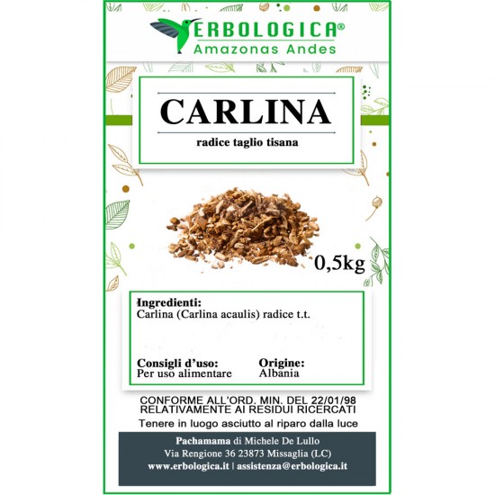Carlina root herbal tea cut