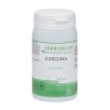 Curcuma in capsule con curcuminoidi al 95%