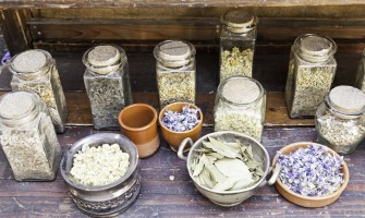Erbe medicinali per dimagrire Erbe medicinali per dimagrire
