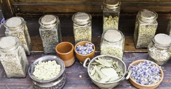 Kit Semi Erbe Medicinali - 12 Varietà Tradizionali Per Orto E Balcone - Ideale Per Principianti - Foto 4