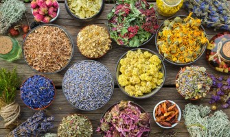 Erbe officinali brucia grassi