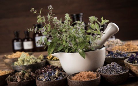 Erbe officinali rafforzano sistema immunitario