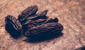 Fave Tonka: Esplorazione della ricca storia e degli usi culinari Fave Tonka: Esplorazione della ricca storia e degli usi culinari