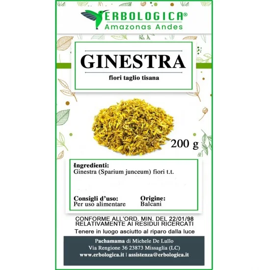 Ginestra fiori taglio tisana Ginestra fiori taglio tisana