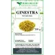Ginestra fiori taglio tisana Ginestra fiori taglio tisana
