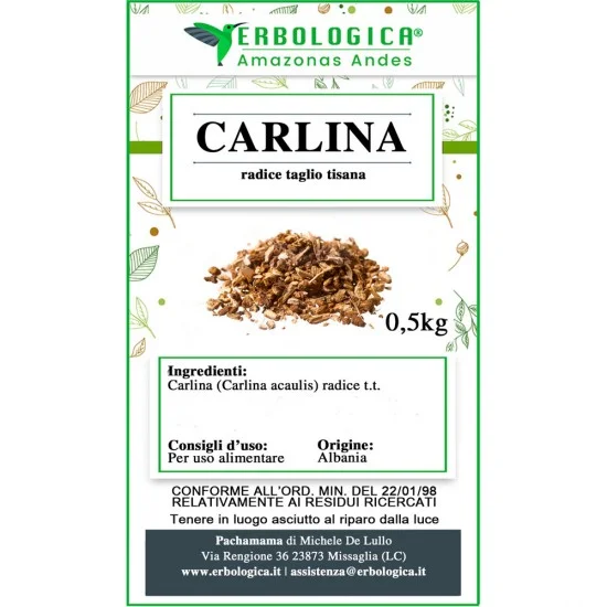 Carlina radice taglio tisana Carlina radice taglio tisana
