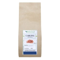 Carlina radice taglio tisana Carlina radice taglio tisana