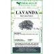 Lavanda fiori interi Lavanda fiori interi