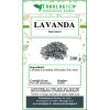 Lavanda fiori interi Lavanda fiori interi