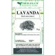 Lavanda fiori interi Lavanda fiori interi