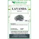 Lavanda fiori interi Lavanda fiori interi