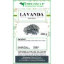 Lavanda fiori interi Lavanda fiori interi
