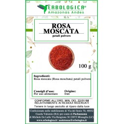Rosa moscata petali in polvere Rosa moscata petali in polvere