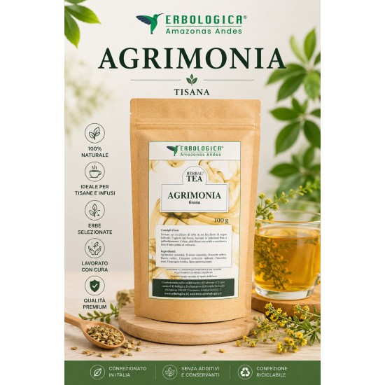 Agrimonia Tisana composta Erbologica Amazonas Andes 100 g Agrimonia Tisana composta Erbologica Amazonas Andes 100 g