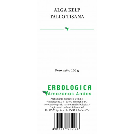 Kelp seaweed thallus herbal tea Kelp seaweed thallus herbal tea