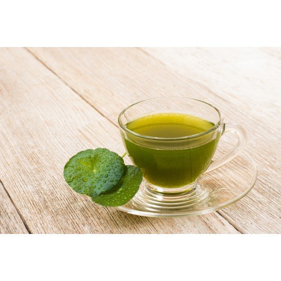 Gotu kola herbal tea Gotu kola herbal tea