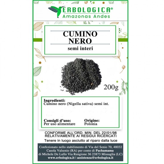 Semi di nigella sativa Semi di nigella sativa