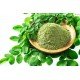 Moringa in polvere 